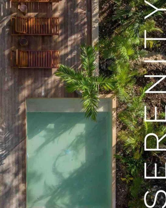 Villa Xuncari In The Heart Of The Jungle Τουλούμ Εξωτερικό φωτογραφία