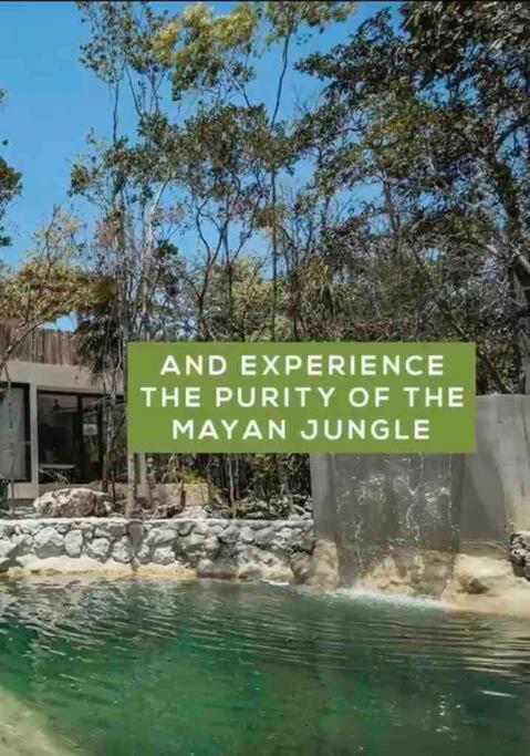 Villa Xuncari In The Heart Of The Jungle Τουλούμ Εξωτερικό φωτογραφία